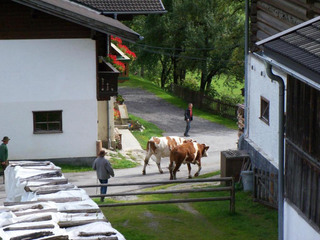 Oberbichlgut